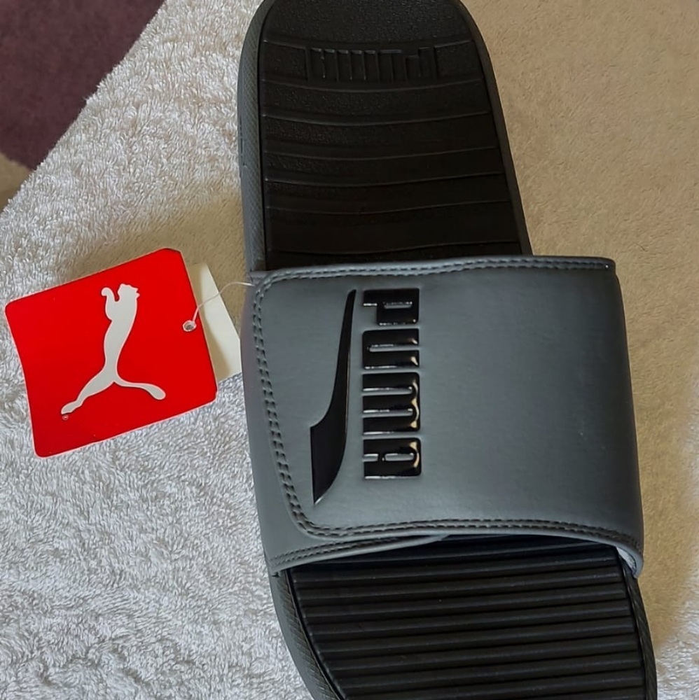 Puma Slide